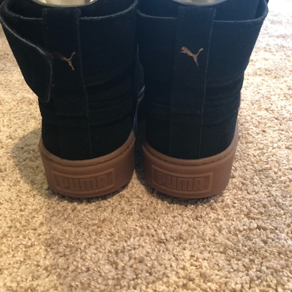 Puma Platform. - Picture 3 of 5